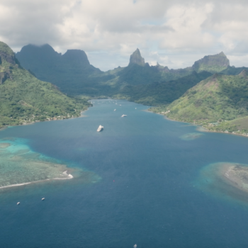 Daily Dive # 177 | Darwin200 Leg 19: Sailing Through the Society Islands